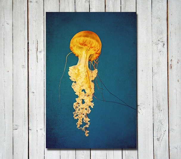 Jellyfish photograph - metallic  yellow orange deep blue wall art - wall art - jellyfish aquarium art -  nature decor - 8x12 metallic print