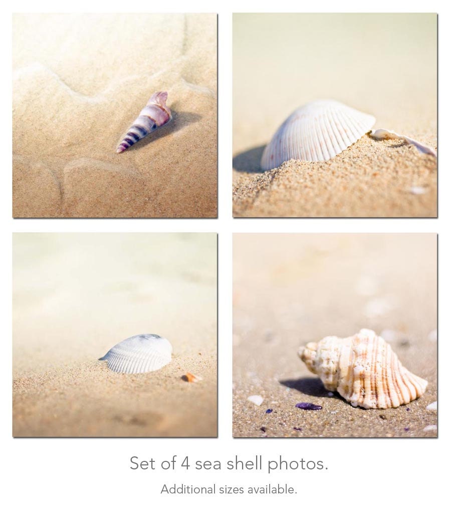 Photography print set ocean beach nautical decor sea shell set 5x5 inch  pastel gold beach photography wall art sand summer macro photo