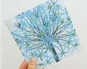 Winter Allium Blank Card - Perfect for birthday, thank you or notelet