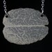 Brain -- laser cut book cover necklace -- geekery