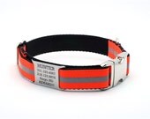 Reflective Dog Collar with Built-In Laser Engraved  Personalized Nameplate - BLAZE ORANGE