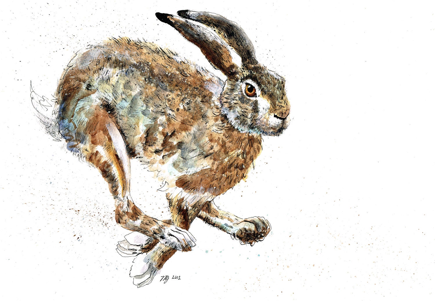 Mounted Limited Edition Giclee Print of 'Gannin Hyem' Hare