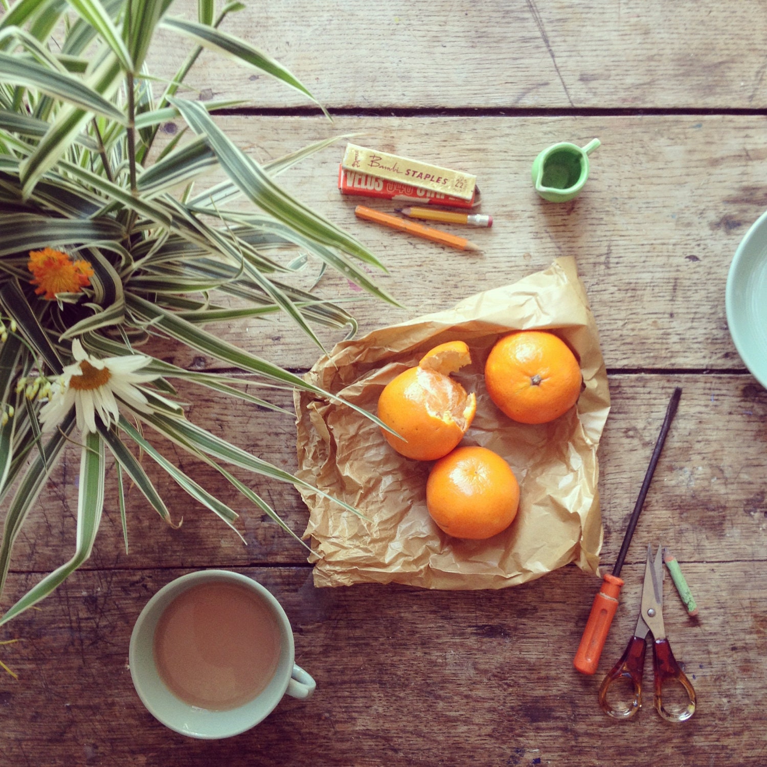 Limited Edition Signed Print of The Table. 'January' featuring Clementines and Variegated Grasses.