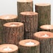 Tree Branch Candle Holders I- Rustic Wood Candle Holders, Tree Slice, Wooden Candle Holders