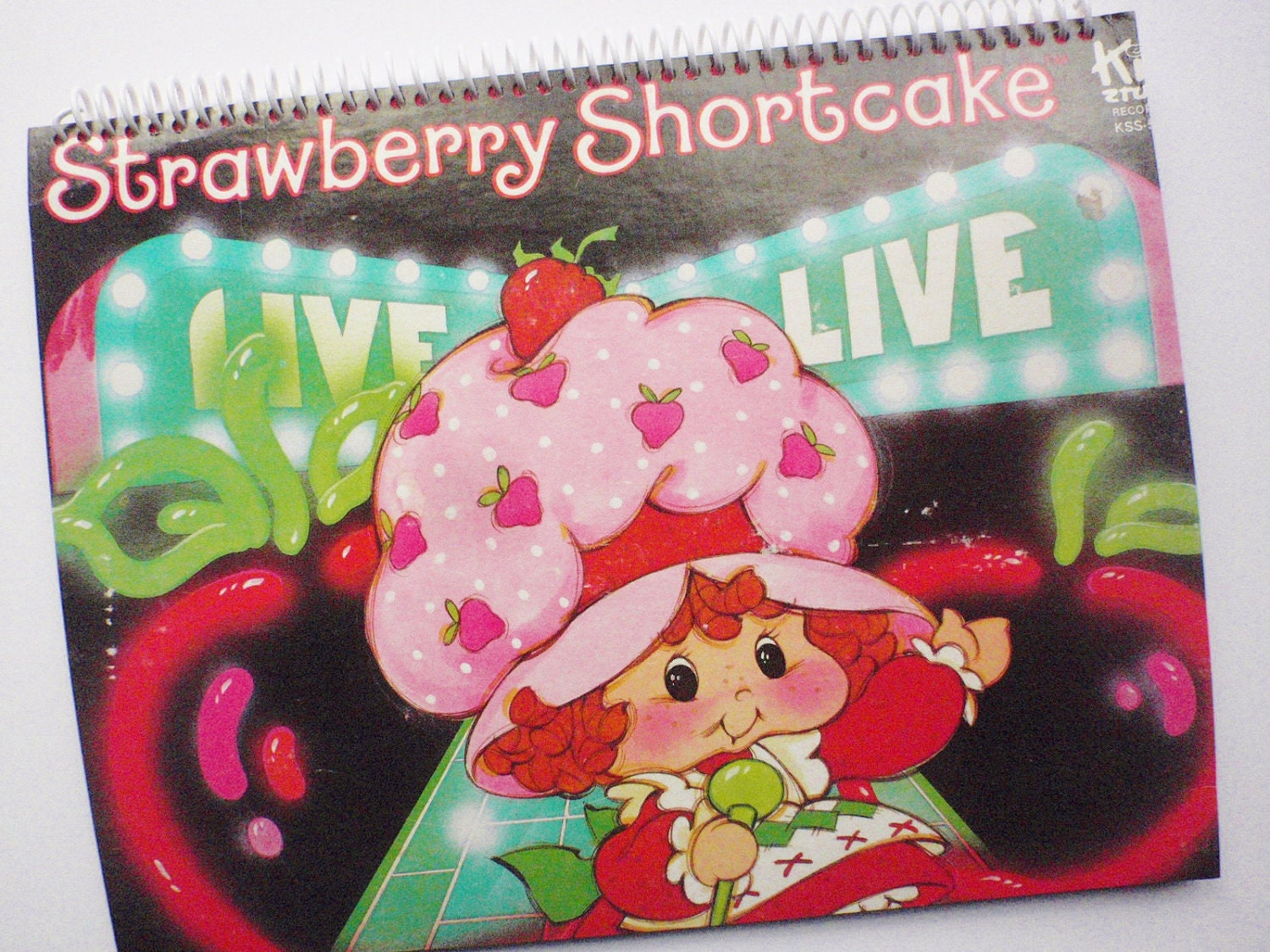STRAWBERRY SHORTCAKE  sketchbook  notebook journal diary spiral bound Made from an actual record cover