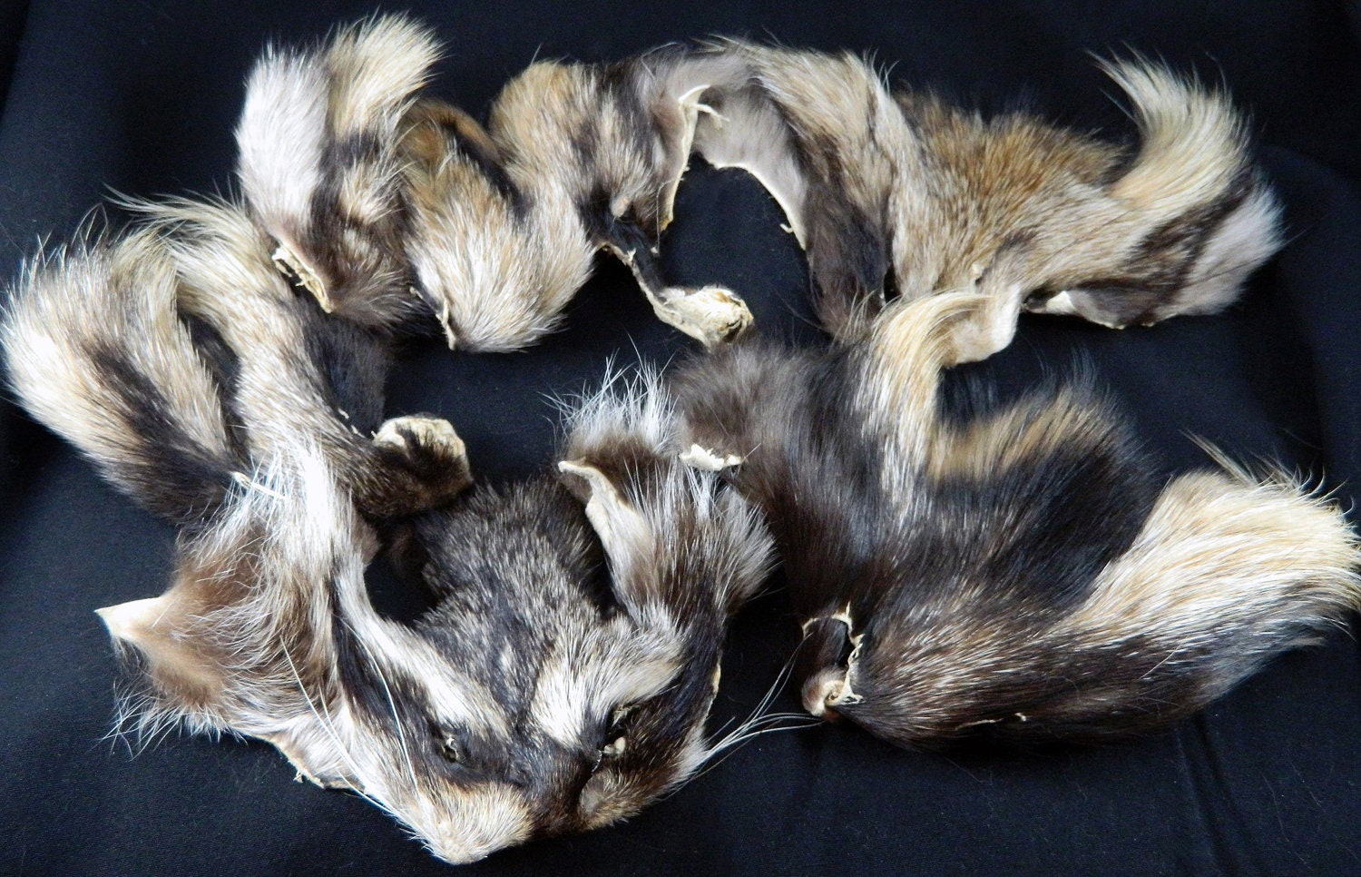 FINN RACCOON Lot of 5 Fur Faces Arctic Store Arktika Russia