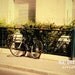 Parisian Bicycle Image - Paris City Photo - 11X14 Print