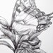 Fine Art Blank Greeting Cards Stationery Black and White Blank Note Cards Butterfly Iris Art Print Stationary Pencil Drawings