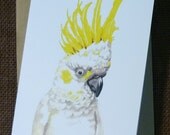 Australian Sulphur-crested Cockatoo - blank greeting card from original watercolour