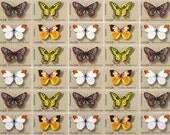 50 pieces - Vintage unused 1977 13 cent Butterflies stamps - great for wedding invitations or craft projects