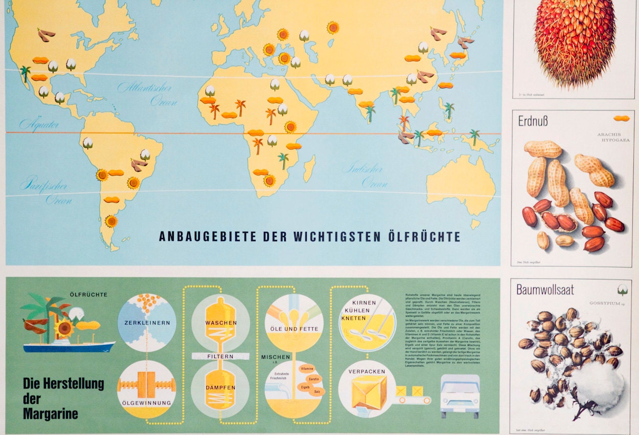 Vintage German Chart - Making Margarine