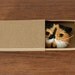 Meme the Cat Embroidery Art Brooch