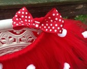Adult Minnie Mouse Tutu Costume
