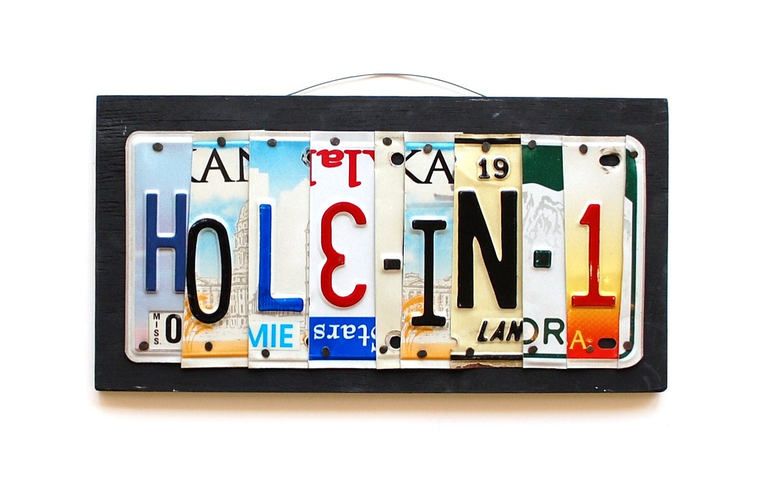 HOLE IN 1, OOAK License Plate Art, Office, Home Decor, Wall Hanging, Golf, Sport, Plaque, christmas gift