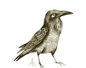 Black Raven Crow Halloween Print A5 Sepia