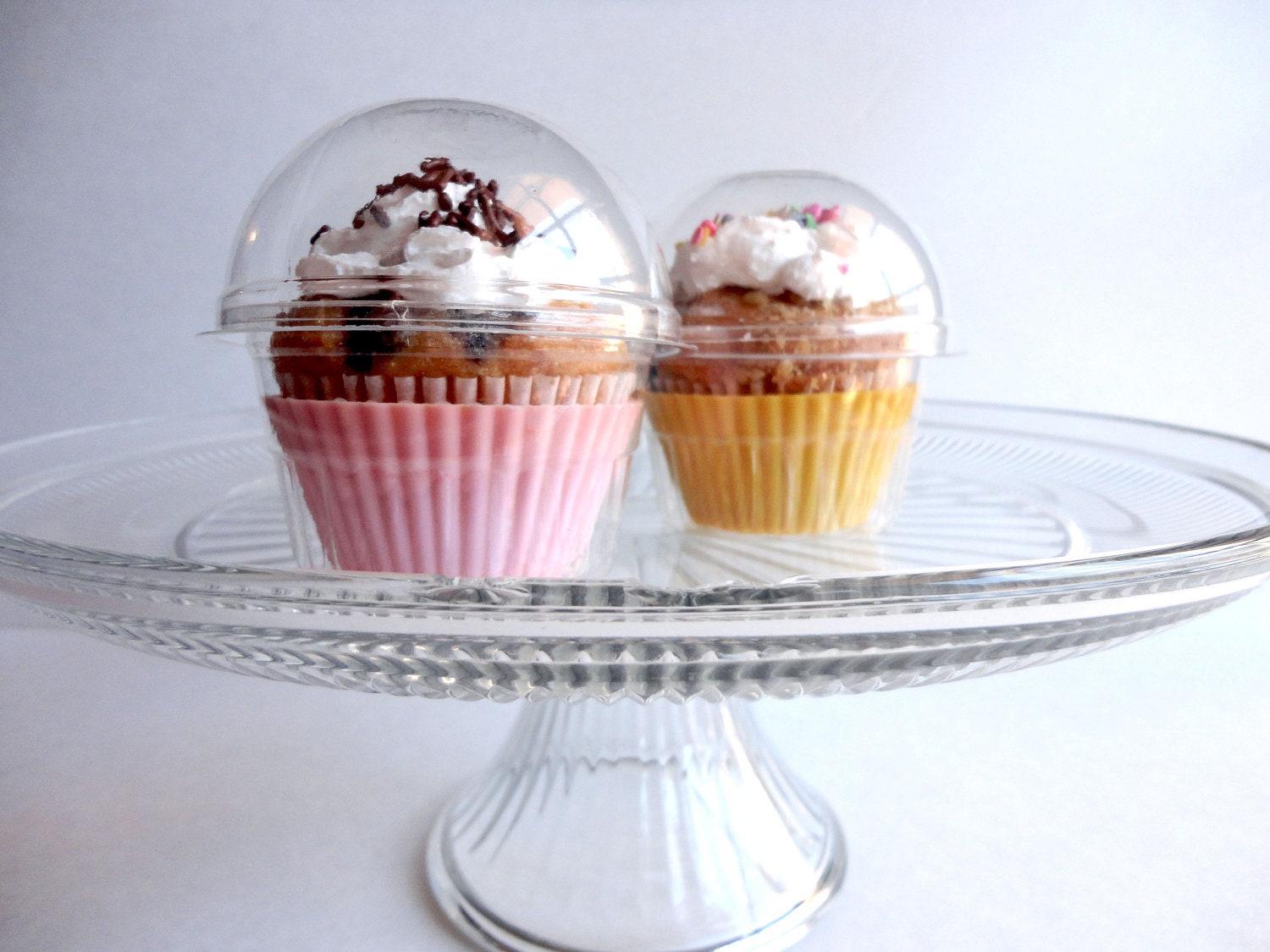 Cupcake Favor Boxes Clear Plastic Containers 24 by scrapaper