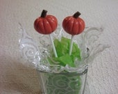 12 Pumpkin chocolate pops
