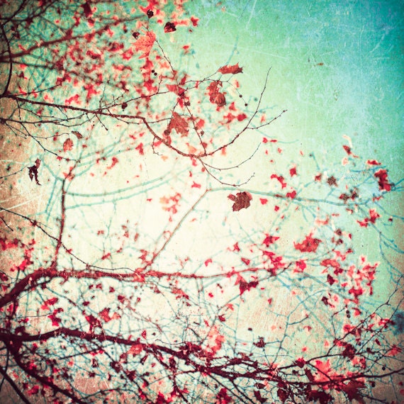 Fall photography, mothers day, love photography, spring, photography, mint, turquoise, red, pink, flower, floral print, nature photography