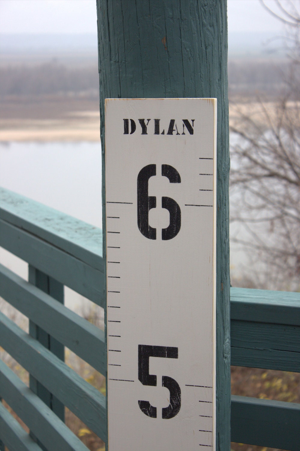 Wooden Growth Chart for Children Distressed with a Custom Name