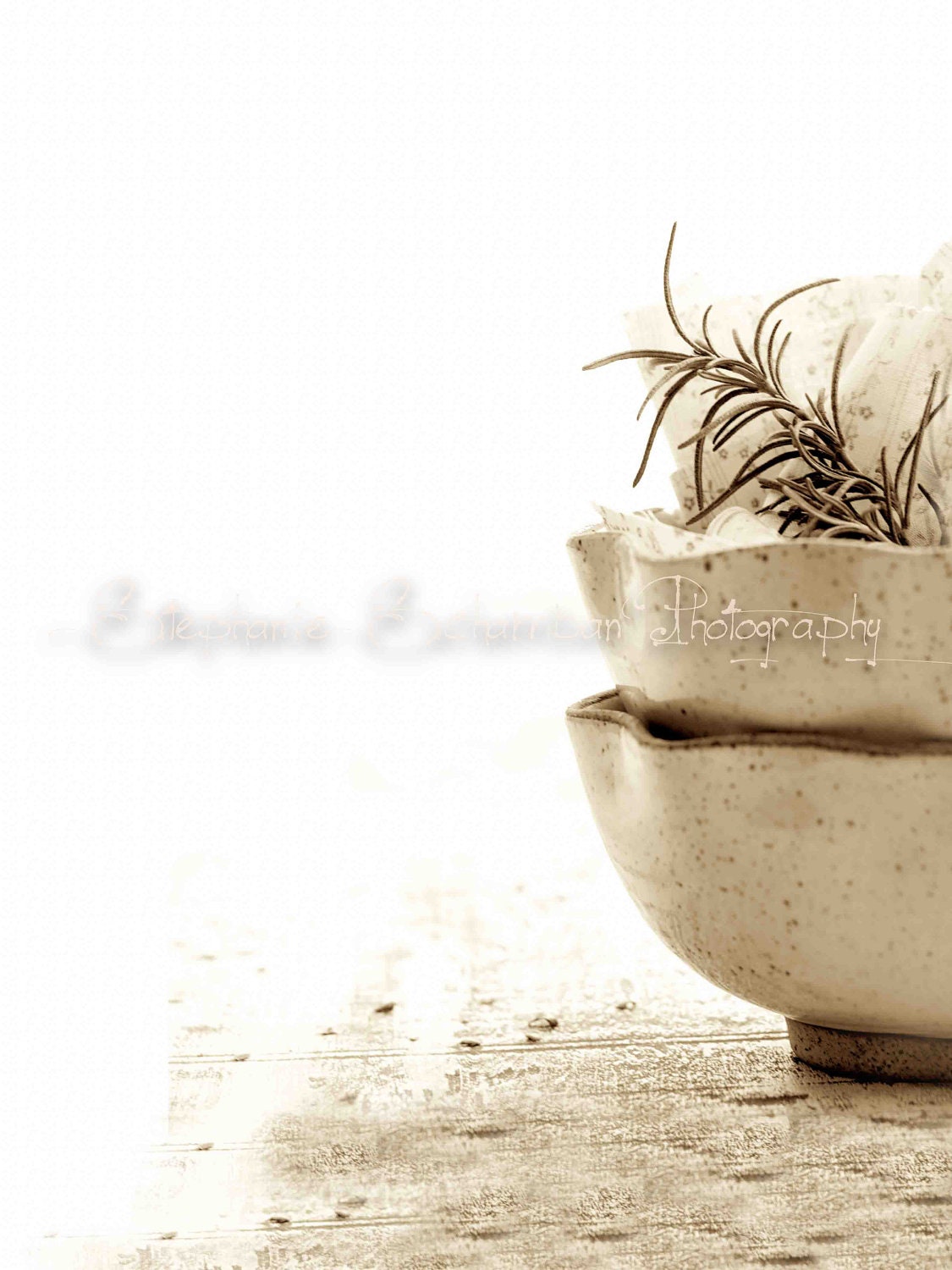 11x14 Sepia Toned Print : Bowl with Rosemary Twig