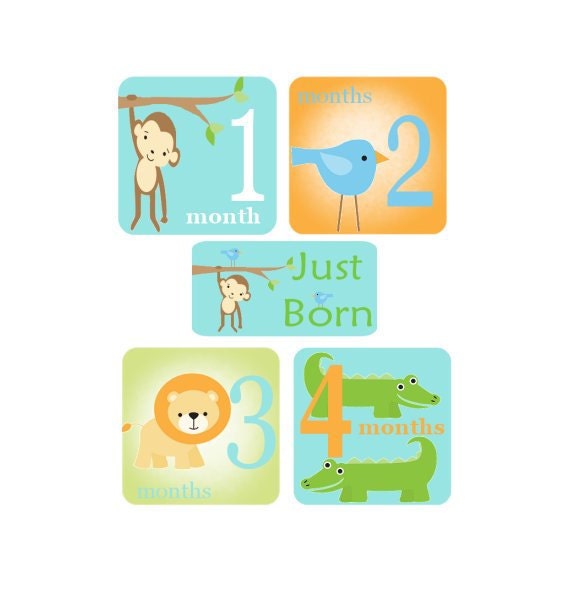 Baby Monthly  Onesie Ironon Transfers - Cutie Animals Boy or Girl  Plus JUST BORN A1