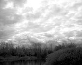 8x10 Original Abstract Art Black and White Print Water Marsh Reflection Minimalist Photography Dreamy Nature Landscape Fine Art