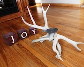 Mule Deer Antler Candle Holder