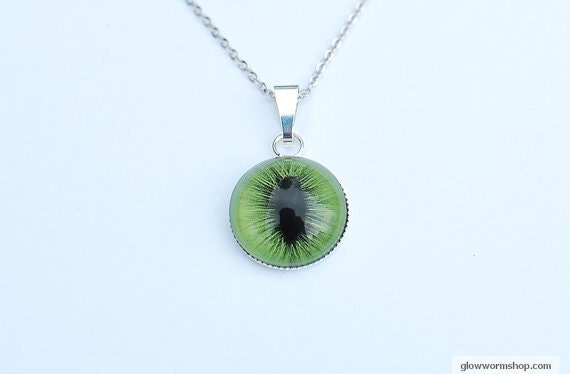 Taxidermy Cat's Eye Collar Necklace / Cat Eye Choker /