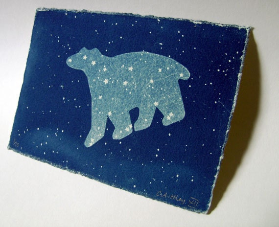 Ursa Major - limited edition cyanotype original print