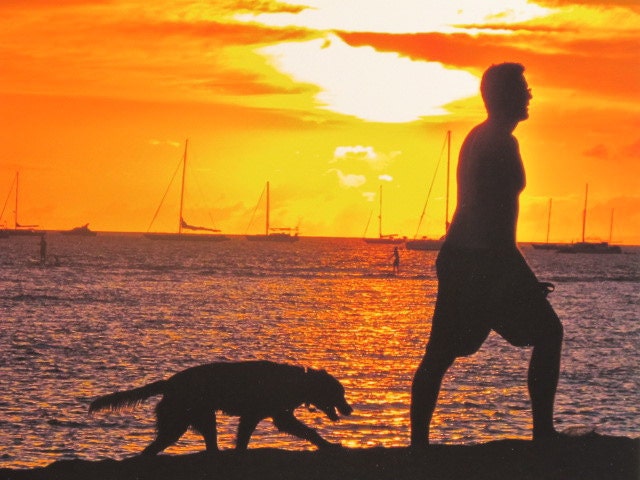 FREE Shipping - LUCKY DOG 8x10 Giclee Photography Print - Maui Hawaii