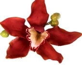 Cymbidium Orchid with Berries Cake Flowers