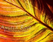 Autumn Leaf 2 Abstract Fine Art Photograph 8 x 12 Nature Botanical Foliage Orange Yellow Pink Red Green Photography Modern Decor Wall Art