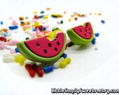 Cute Watermelon Slices earrings