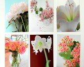 Postcards set of 6 - Flower theme