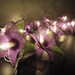20 Purple Orchid Flower Fairy String Lights Wedding Party Floral Home Decor 3.5m