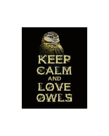 Keep Calm and Love Owls Print Halloween Home Decor Owl Art Print Owl Gift Owl Decor Owl Print Owl Wall Hanging Poster I Love Owls Dark Night