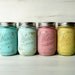 Miami inside/outside pint - Shabby Chic Hand Painted and Distressed Mason Jars - Vases