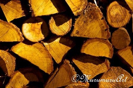 Timber, Cozy Photo, Autumn Mood, Wood Logs, Fine Art Photography, 12x7.88"