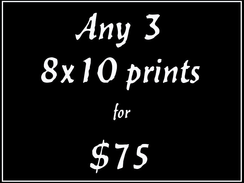 Custom Listing Landscape Photography Any 3 Prints in Our Shop Size 8x10 Photography Set