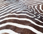 Mid Century Zebra Skin Rug - FREE SHIPPING, African, Burchell's, Felted, Vintage