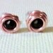 Black Crystals Wrapped in Rose Gold Studs
