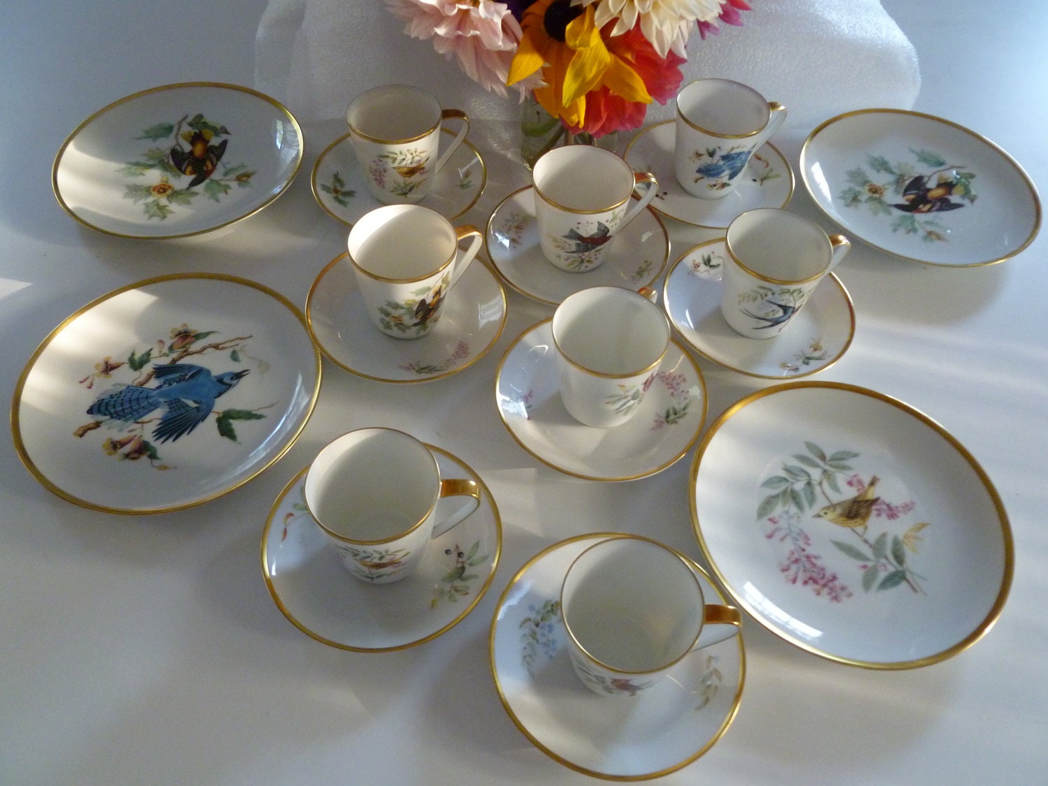 Audubon china set of 20 pieces