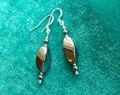 Hematite Black Stone Dangle Earrings