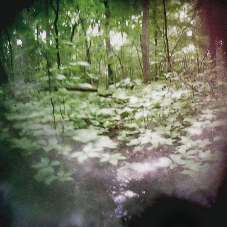 Growing from the Spring/ Giclee Printed/  Handmade Gallery Wraps/ Archival Satin Cloth/ Acid Free/ Limited Edition Pinhole Photography