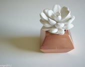 White Succulent Sculpture in Modern Faceted Container, Desktop Accessory, Tabletop Centerpiece