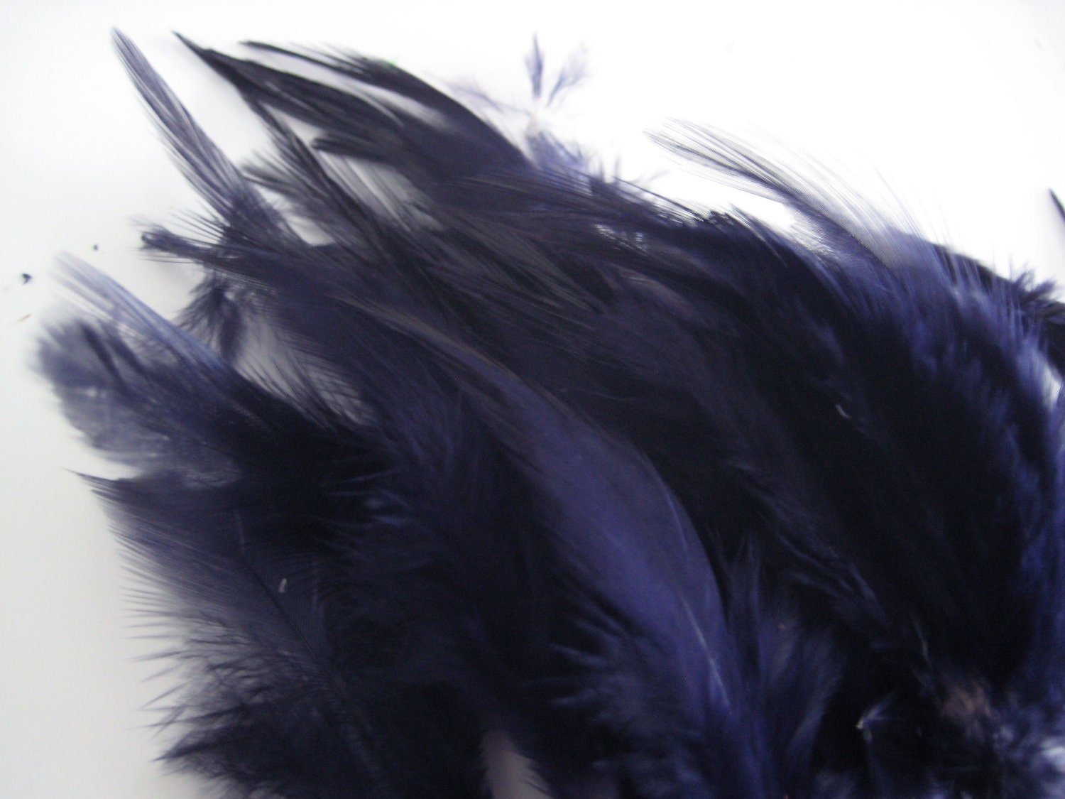 Navy Blue Hackle Hen Feather Fringe / 20 loose feathers