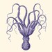 Vintage Blue Octopus Natural History Wall Decor Print