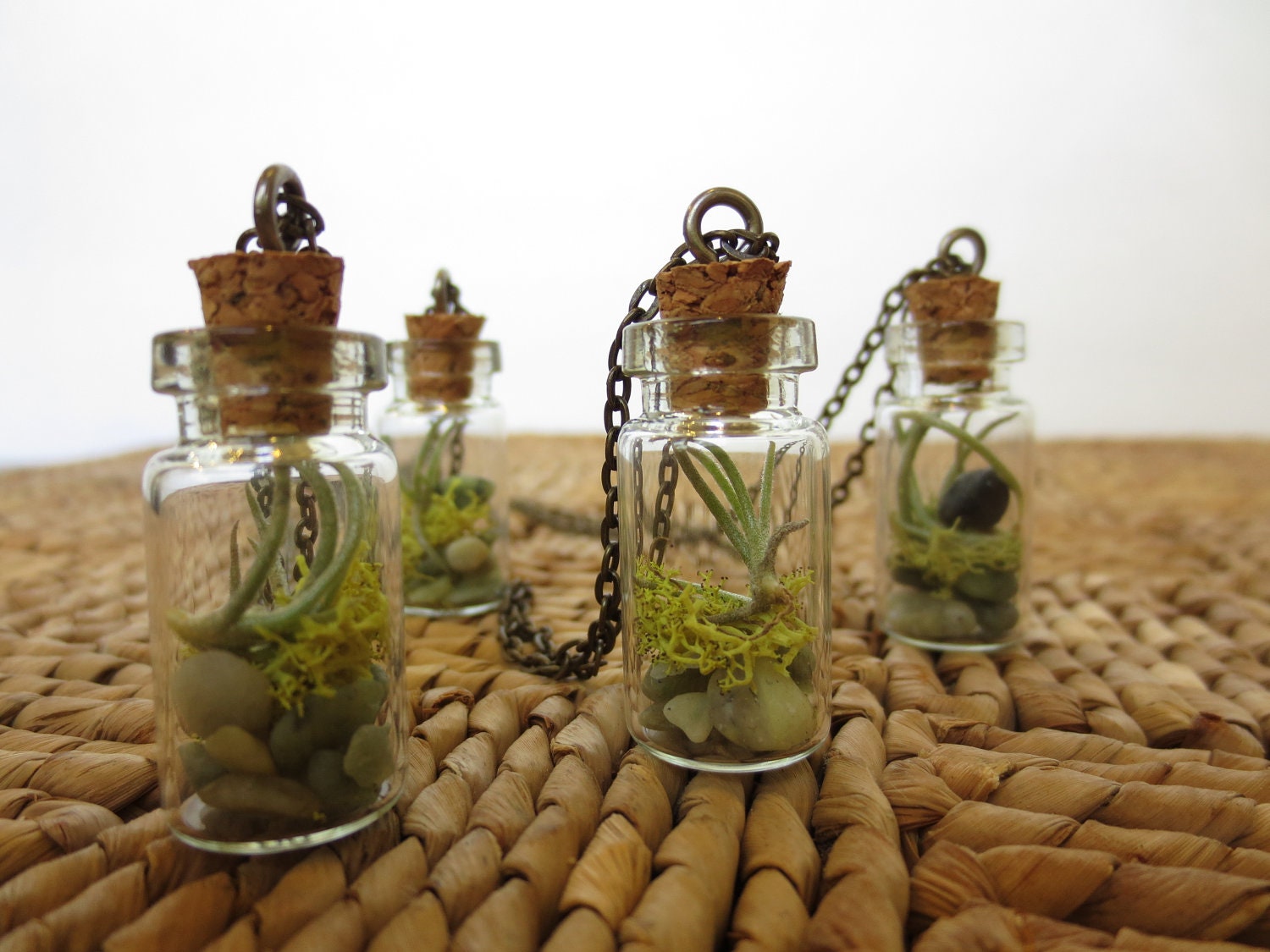You are my World....Tiny Live Terrarium Necklace  Air Plant, Moss, Magic little live necklace