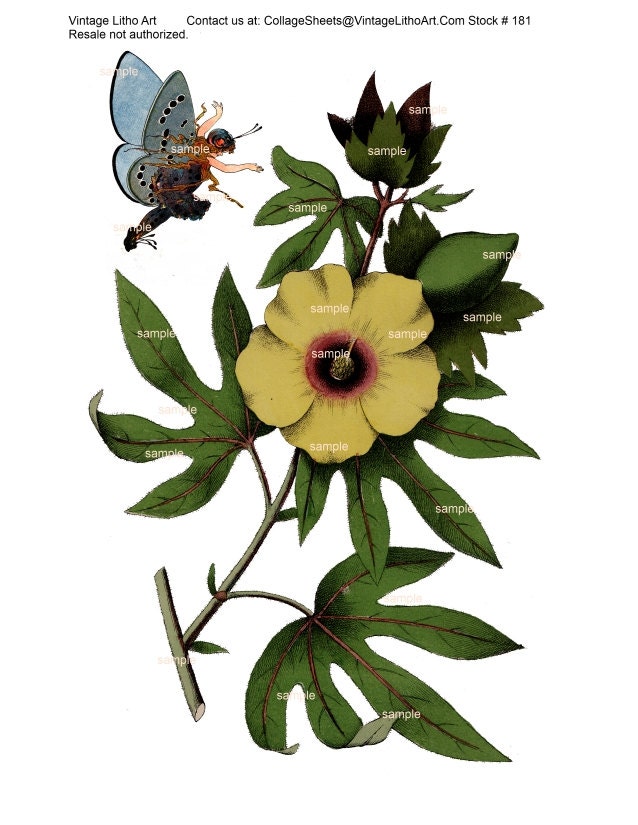 Digital Collage Sheet(180) - Vintage hand painted lithograph of cotton flower butterfly fairy