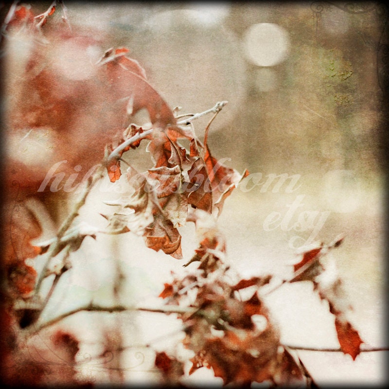 20% SALE - Nature Photographys FRIEDFOREST 12x12 autumn
